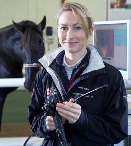 Catch Them While You Can - A Q&A by Equine Sports Veterinarian