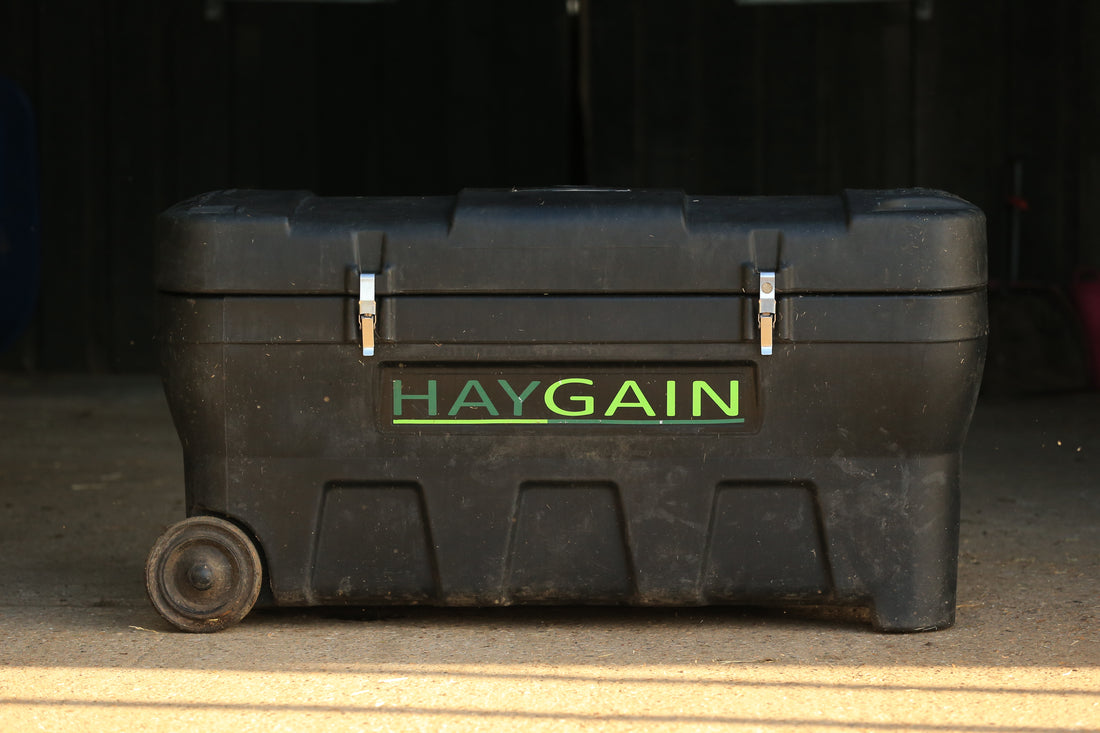 Forage Forward: Why Haygain Crops Up in Equine Nutrition Discussions