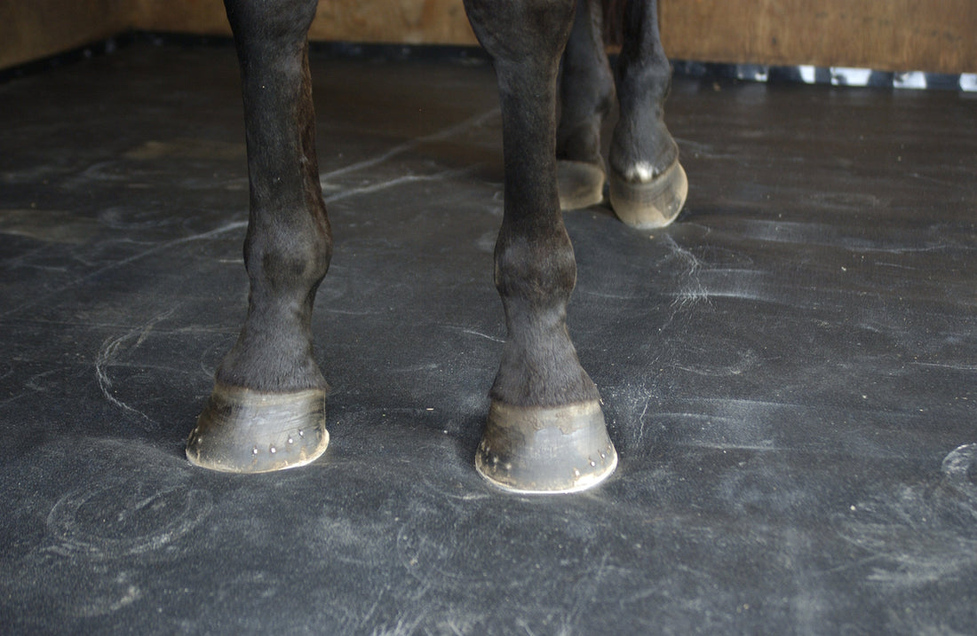 ComfortStall revolutionary flooring system - new to Haygain