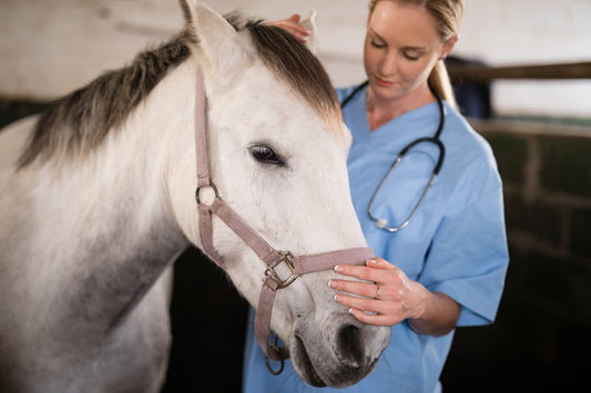 How can steaming help to prevent colic? Part 2