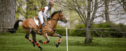 Five Top 10 Eventers are Hay Steamers