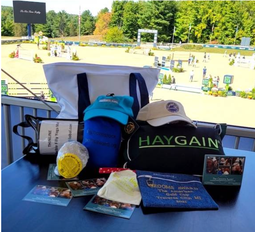 Haygain: An Official Partner of the British Grooms Association