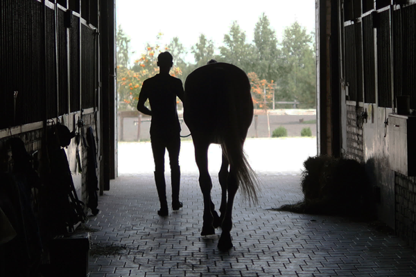Stable Environment
