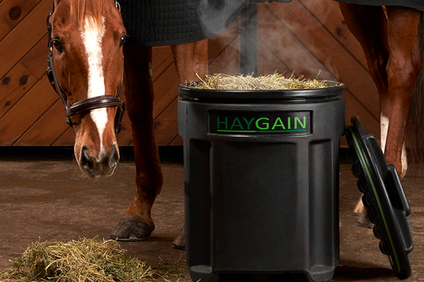 HYGIENIC QUALITY OF HAY