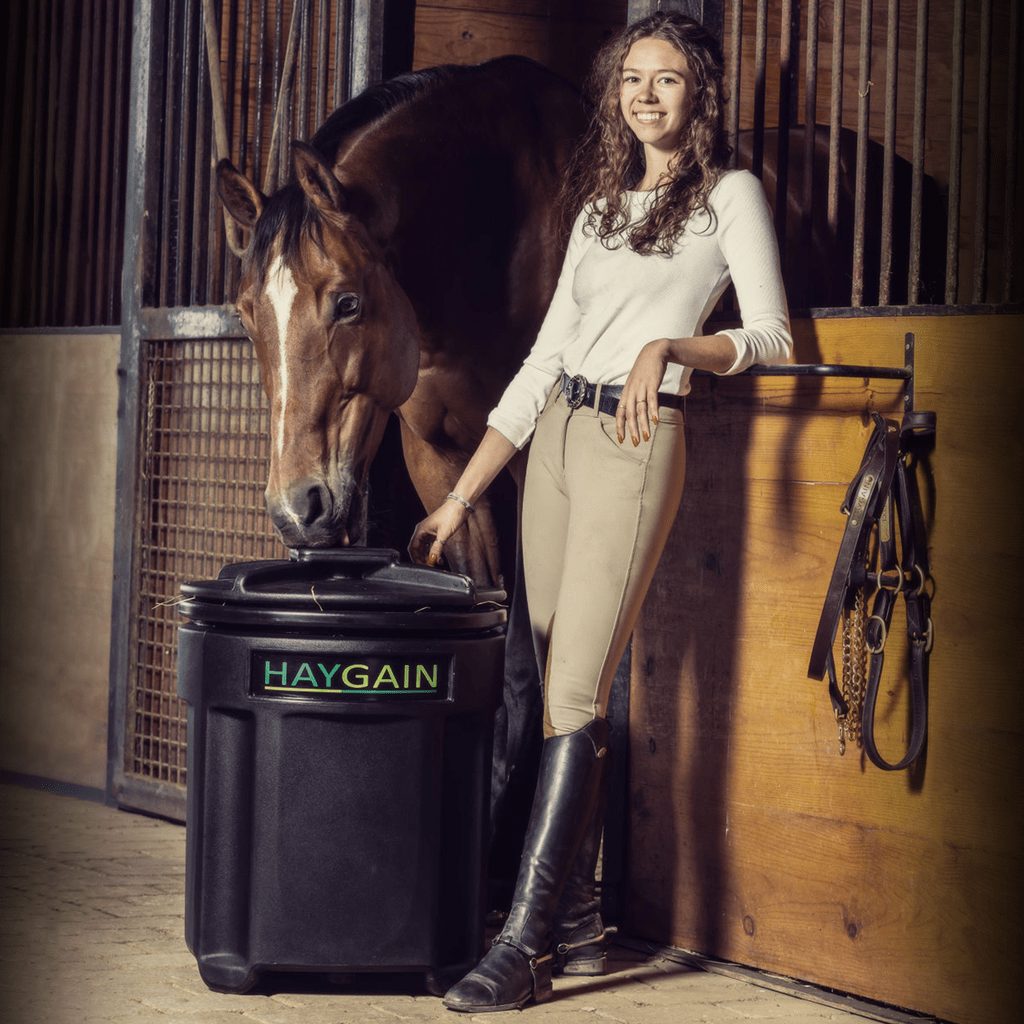 Haygain HG ONE