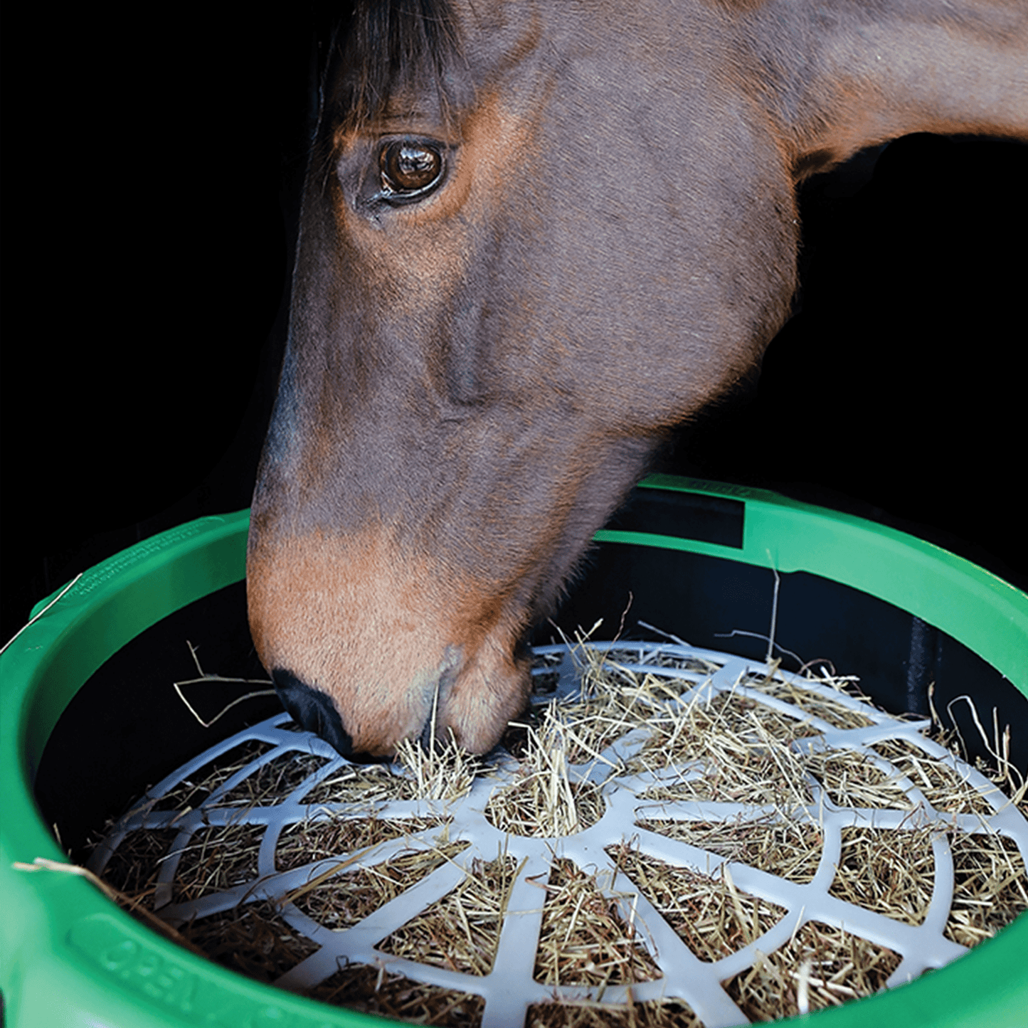 The Haygain Forager Slow Feeder