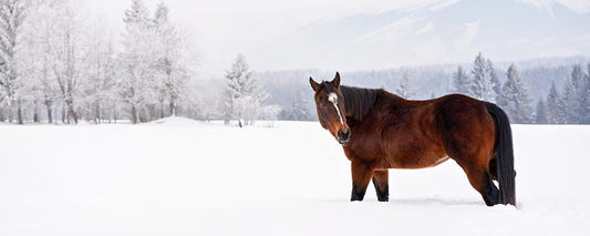 Preventing winter colic