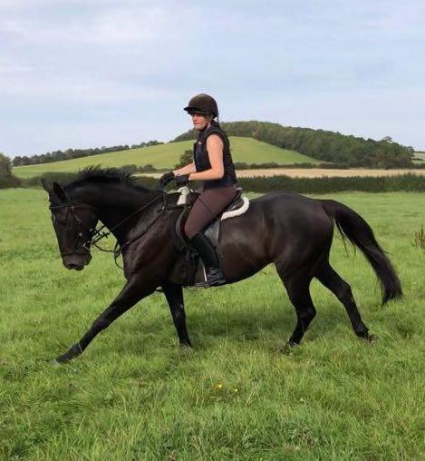 The (re)-Rise of the Leisure Horse