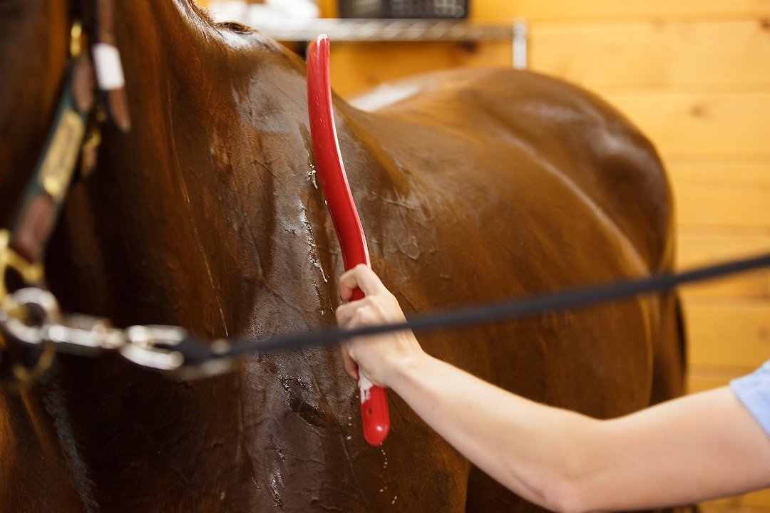If You're Hot, Your Horse is Hotter