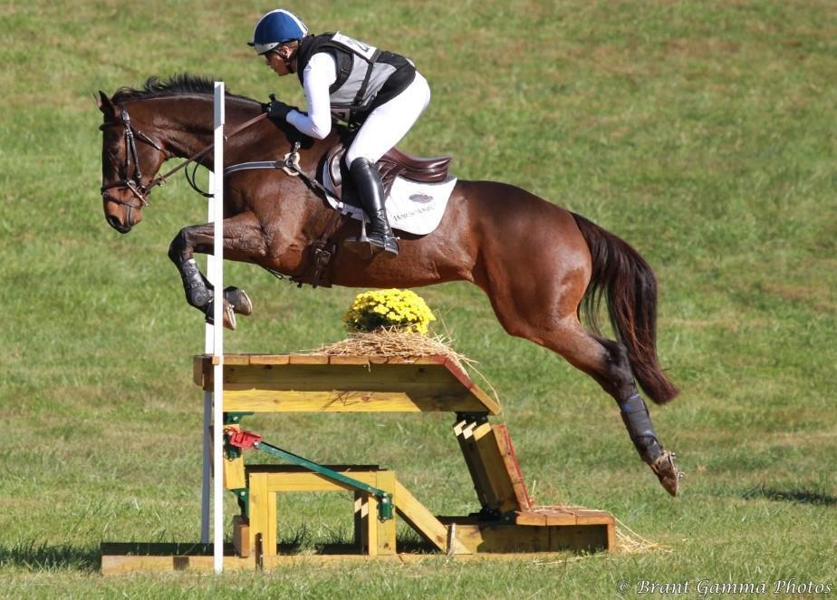 Coughs & Hives on Hiatus at Four Schools Farm