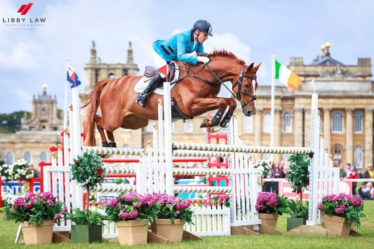 Go Andrew! Steam-powered Aussie Olympian in the Final Phases of WEG Selection.