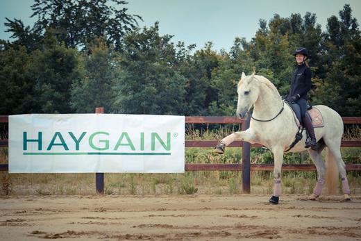 Steamed Hay is a Constant Through an Otherwise Topsy-Turvy Time for Equestrian Artist Alizée Froment