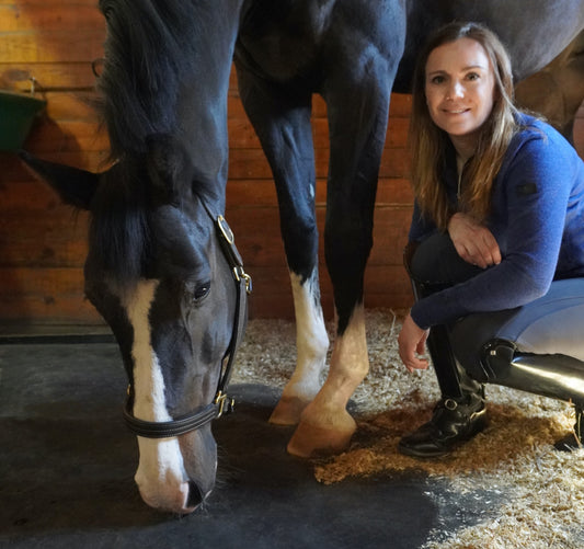 "Four Seasons Hotel Bed for Horses!"