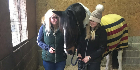 ComfortStall flooring and Haygain steamed hay, the perfect combination for happy horses...