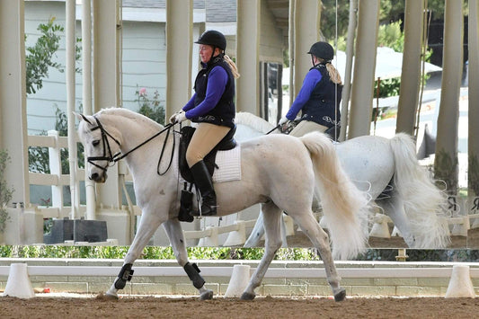 Small Animal Vet Meets Forager, and Two Horses Eat Happily Ever After