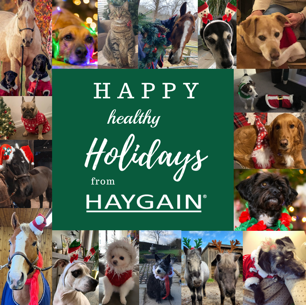 Happy, healthy Holidays from Haygain