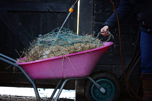 Benefits of steaming over soaking hay