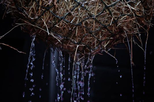 How is Steaming Different from Soaking Hay?