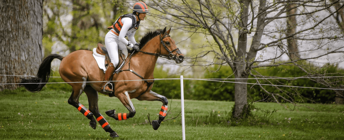 Five Top 10 Eventers are Hay Steamers