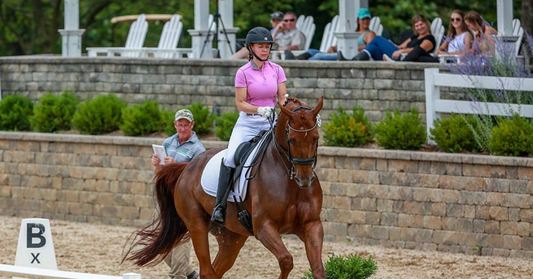 Haygain Hay Steamer, a trusted solution for equine respiratory health