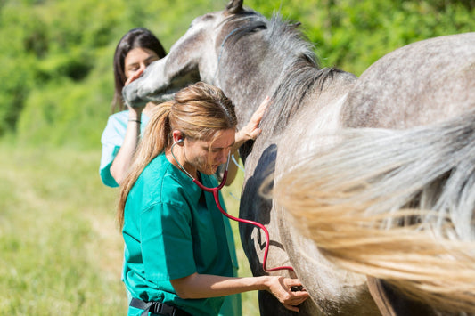 Ask the Vet, Part 5: Why does my horse cough?