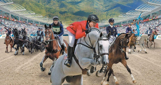 Haygain Hay Steamers Heating Things Up at the World Equestrian Games