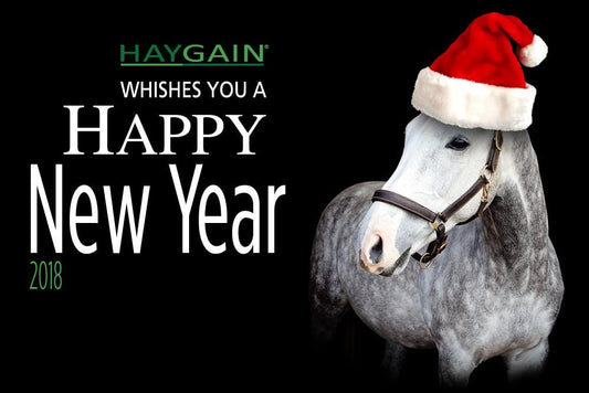 New Year’s resolutions for the horse owner