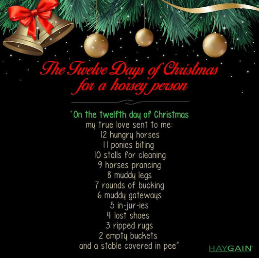 The 12 days of Christmas- for a horse owner!