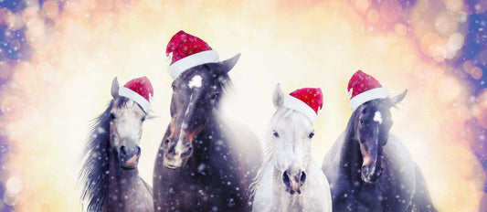 If Horses Could Write to Santa….